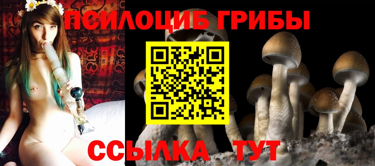 Псилоцибиновые грибы Cubensis  Вход с VPN  Тихвин  Псилоцибиновые грибы прущие грибы 
