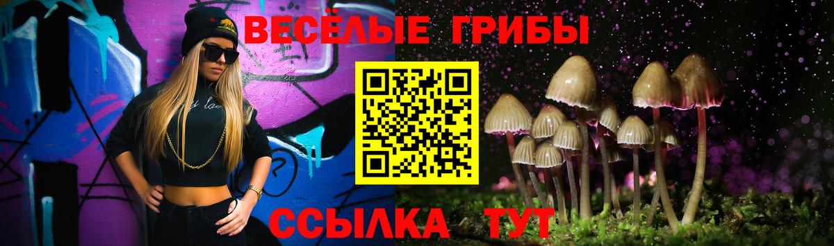 Псилоцибиновые грибы мицелий Тихвин